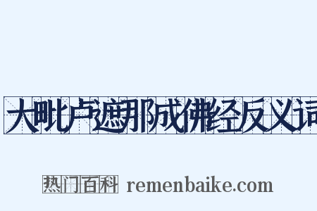 大毗卢遮那成佛经反义词是什么意思的图片